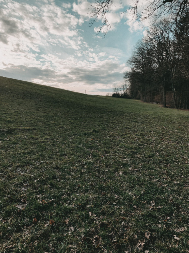 Wiese und Aussicht